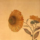 �\�񂩌��Ԓ��}