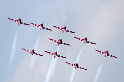 Snowbirds