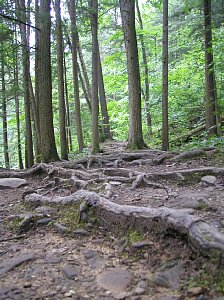 �X�̒��ɂ�