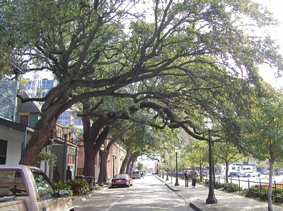 �����̊X�H��