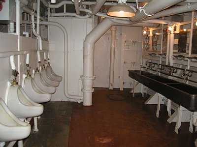 ��͂̒��̃g�C��