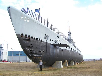 �����̓h����