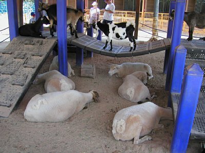 �ԍ��t���r