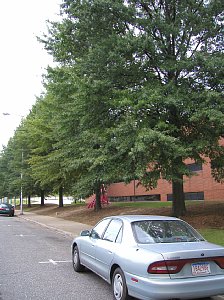 UAB Business-Engineering Complex