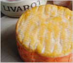 �����@��AOC �F�E�I�b�V���^�C�v