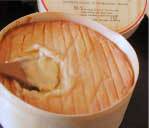 �G�|���X�@AOC �F�E�I�b�V���^�C�v