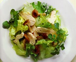 森のチキンサラダの画像