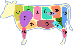 �����̕���