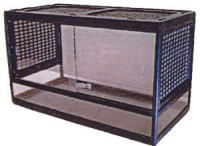 �Ղ����y�b�g�V���b�v�ɂĂ���舵�����Ă��܂��B�N���b�N�ŏڍׁB