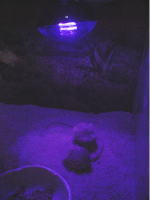 �I�����C���V���b�v�ł���舵�����Ă��܂��B�N���b�N�ŏڍ�