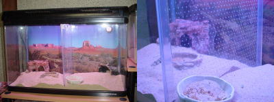 �I�����C���V���b�v�ł���舵�����Ă��܂��B�N���b�N�ŏڍ�