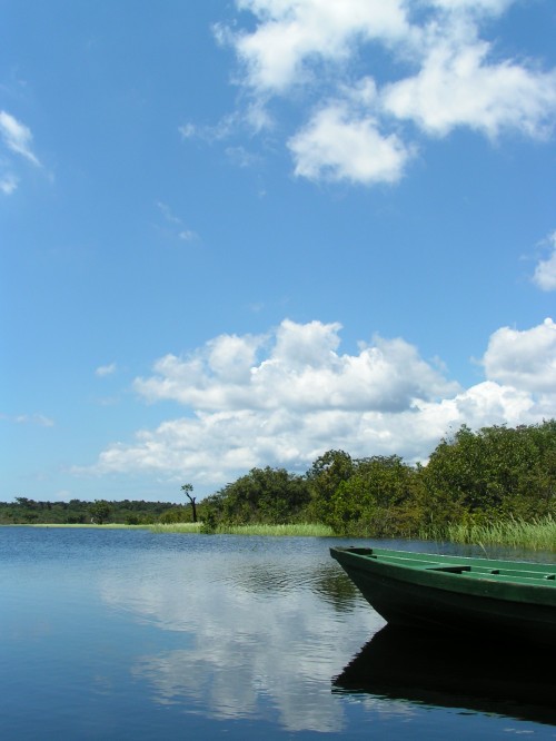 �����΁A��������ɂȂ�A�}�]����