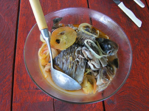 アマゾン川で獲れたピラニアのスープ