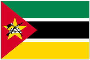 ���U���r�[�N�̍���